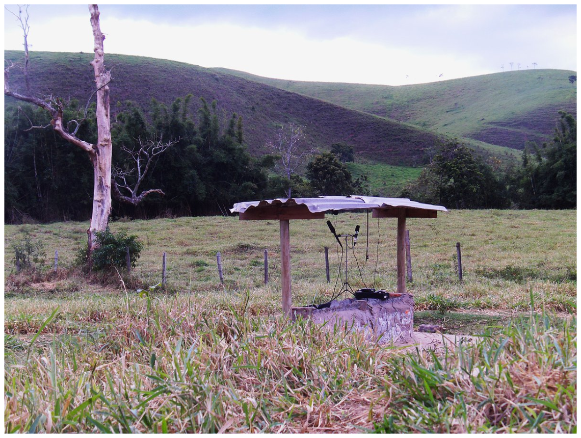 Clique na imagem para ouvir a peça sonora "Concerto para Cocho", de Marcelo Armani